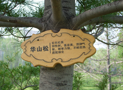 這種導視材料不會變老，只會更美好！