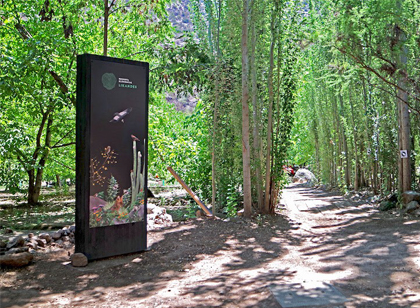 旅游景區標識這樣設計 旅客流連忘返不迷路