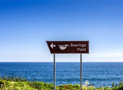 空間的表現形式對公園標識系統規劃設計的影響