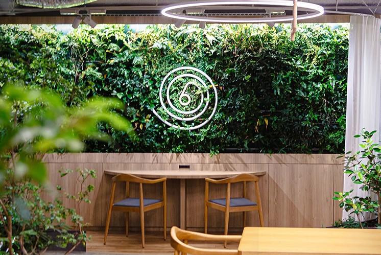 綠意盎然且生機活躍的導視牌|點亮整個空間風格
