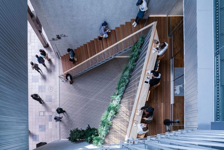 光與木的溫暖敘事：標識設計中的人文關懷 